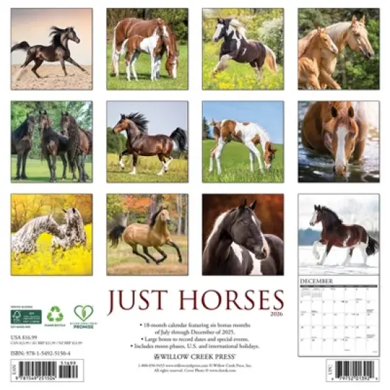 Willow Creek Press 2026 Horses Wall Calendar image {1}