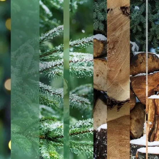 Glade PlugIns Scented Oil Air Freshener - Twinkling Pine & Cedar - 4.69oz/7pk image {1}