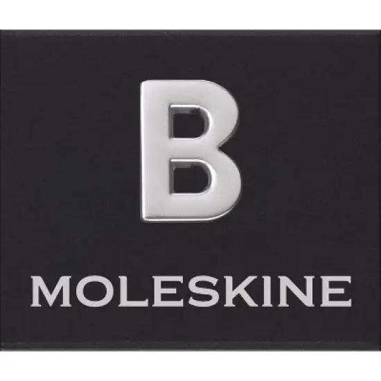 Moleskine Pins B Silver image {2}