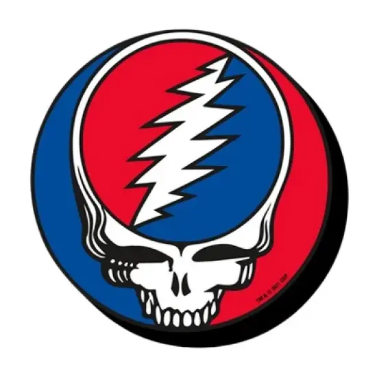 Aquarius Puzzles Grateful Dead Steal Your Face Funky Chunky Magnet image {3}