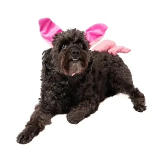 Midlee Dog Pig Halloween Headband Costume with Tail- Large image {3}