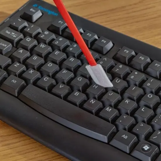 The Lakeside Collection Set of 20 Detail Gap Dusting Sticks image {6}