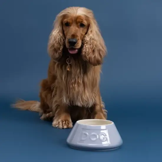 Mason Cash: Non-Tip Dog Bowl, Grey, 8.3", 54oz, Food & Water Angled Dish image {3}