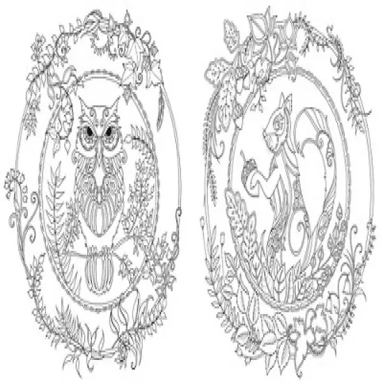 Enchanted Forest: An Inky Quest And Coloring Book - By Johanna Basford ( Paperback ) image {2}