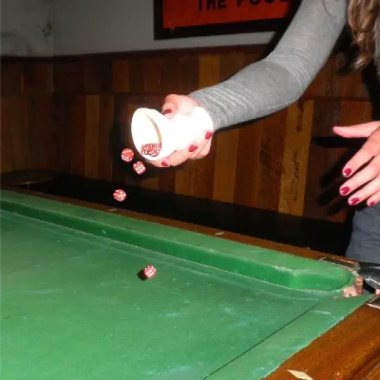 Vango Sixes and Ones Dice Game image {5}