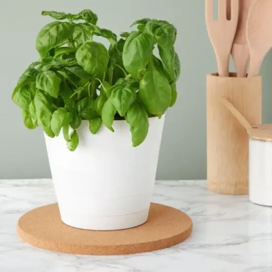 Juvale 4 Pack Round Hot Pads for Countertops and Kitchen, Cork Trivets for Hot Dishes, 9 In image {3}