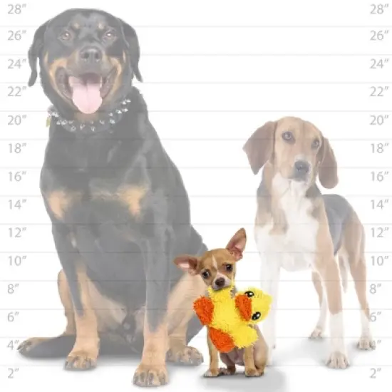 Mighty Microfiber Jr Duck and Elephant Dog Interactive Toy image {2}