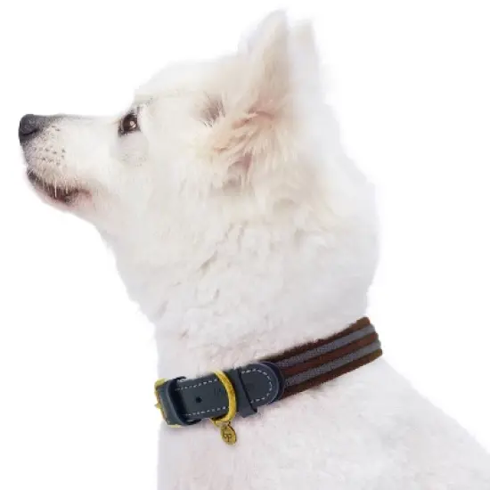 Blueberry Pet Polyester and Leather Dog Collar image {2}