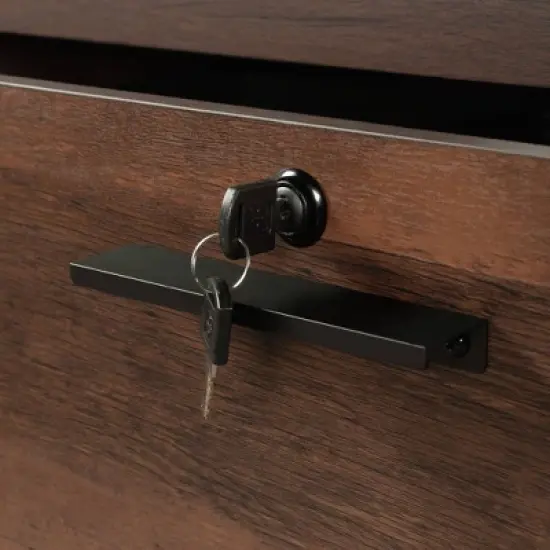 Briarbrook 2 Drawer Lateral File Barrel Oak - Sauder image {4}
