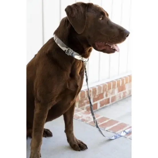Country Brook Petz Premium Urban Camo Dog Collar image {2}