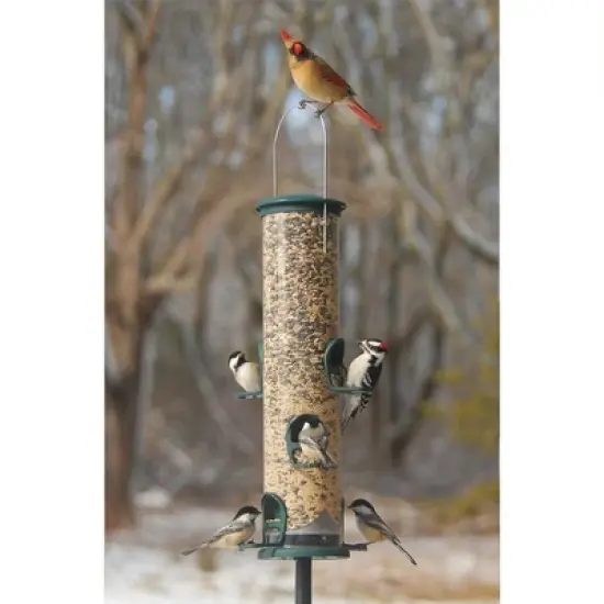 Aspects Spruce Quick Clean Big Tube Feeder, Large image {2}