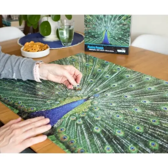 Toynk Peacock Plume Wild Zoo Animal 1000 Piece Jigsaw Puzzle image {4}