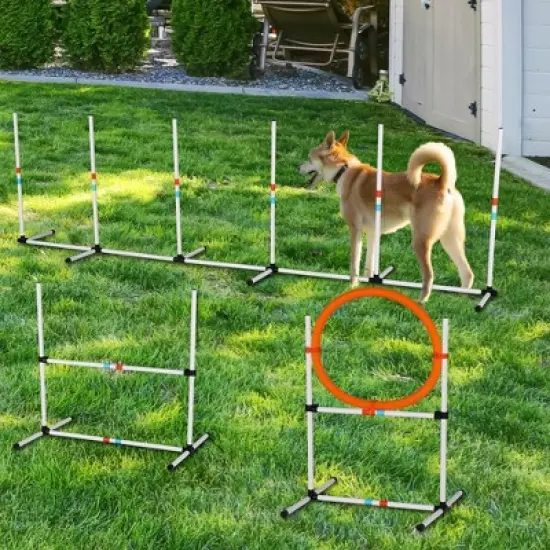 3PC/6Pack  Dog Agility Equipment Set, Obstacle Course Exercise for Dog image {3}