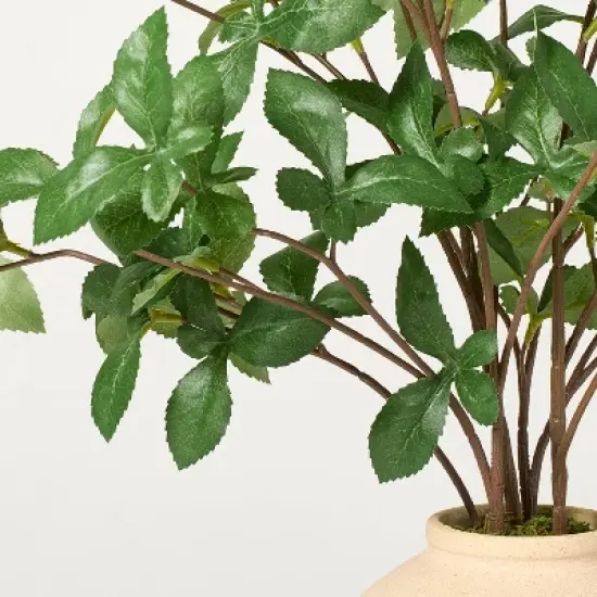 17" Faux Gypsophila Leaf Plant - Hearth & Hand&trade; with Magnolia image {2}