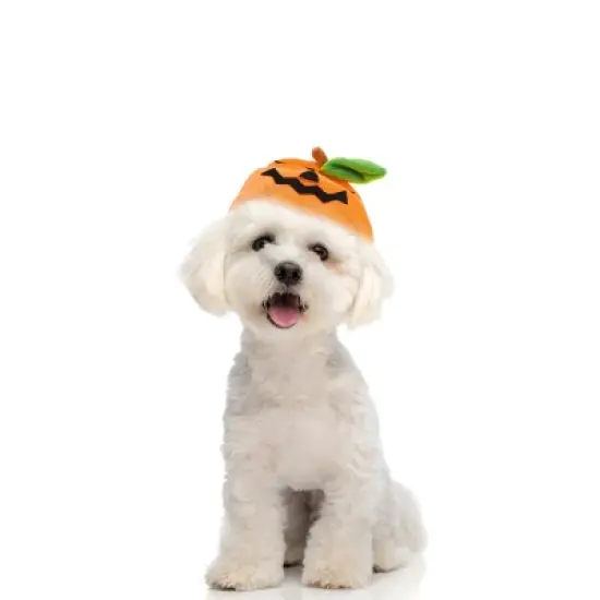 Unique Bargains Halloween Expression Pumpkin Pet Headwear Orange Green 1 Pc image {1}