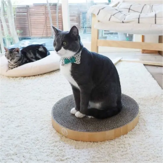 Necoichi Cozy Cat Scratcher Bowl Replacement Pad - 2pk image {10}