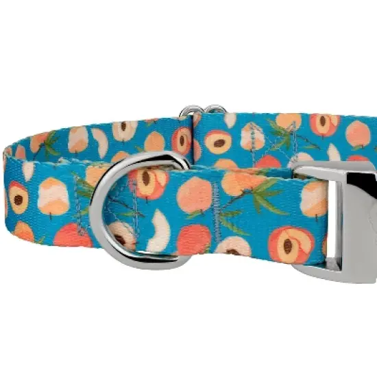 Country Brook Petz Premium Dog Collar - Tasty Collection image {5}