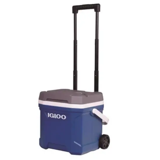 Igloo - Hard Cooler - Blue image {1}