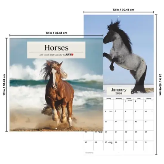 Trends International 2026 Horses 12"x12" Wall Calendar image {6}
