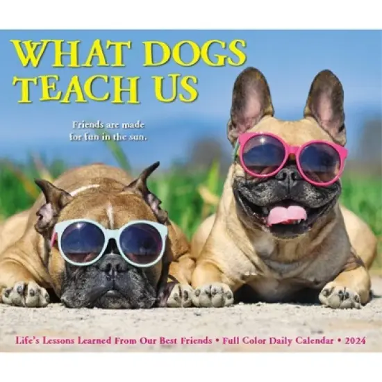 Willow Creek Press 2024 Daily Desk Calendar 5.2"x6.2" What Dogs Teach Us image {4}