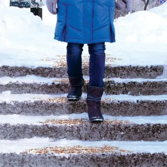 Gaia 12 Pack Walk on Ice Snow Melt to Help Prevent Slips and Falls, Keep Your Walkways, Driveways, and Outdoor Spaces Ice Free, 1.75 lbs image {4}