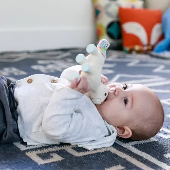 Infantino Go Gaga! Squeeze & Teethe Terry Tail image {3}