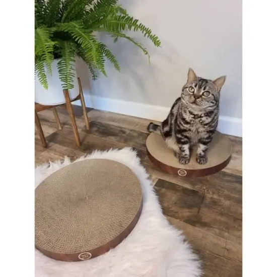 Necoichi Cozy Cat Scratcher Bowl Replacement Pad - 2pk image {6}