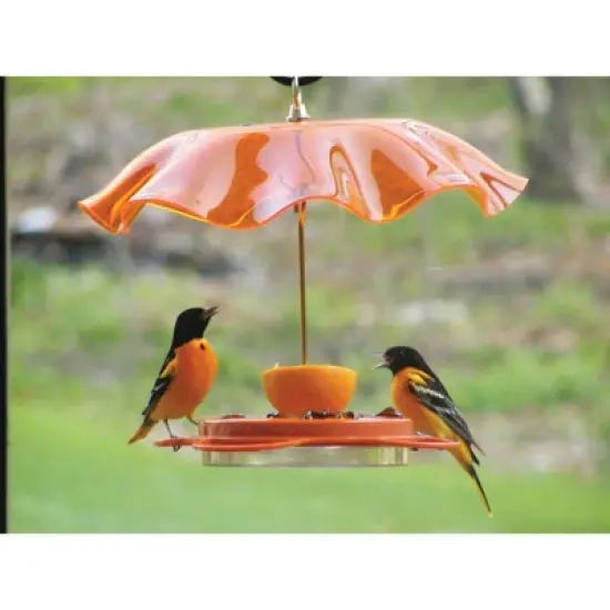 Birds Choice Oriolefest Oriole Feeder 12oz image {4}