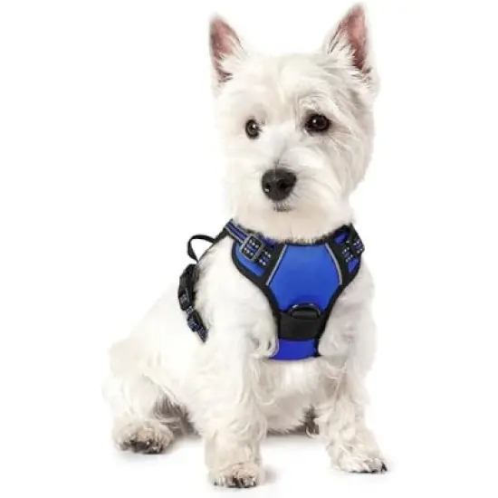 rabbitgoo Dog Harness image {2}