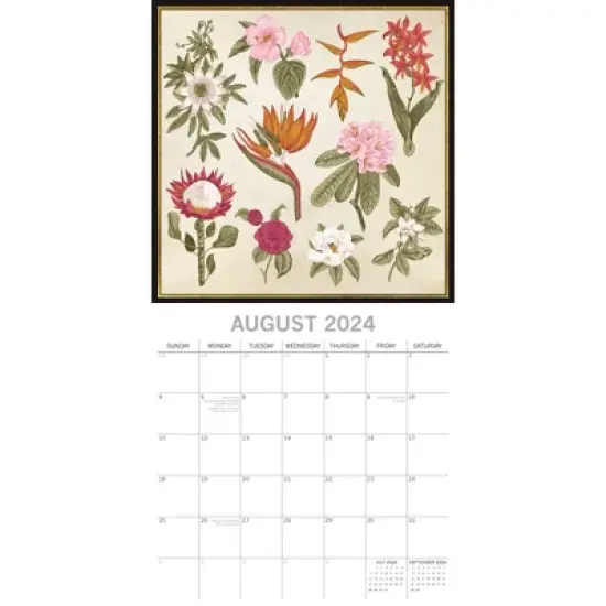 The Gifted Stationery 2024 Square Wall Calendar, Botanicals, 16-Month Arts & Antiques Theme with 180 Reminder Stickers (12x12 In) image {2}