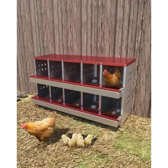 Red 10-Compartment Wall-Mountable Metal Chicken Nesting Box, Roll Away Rustproof Design, Ventilated with Perch & Waterproof image {6}