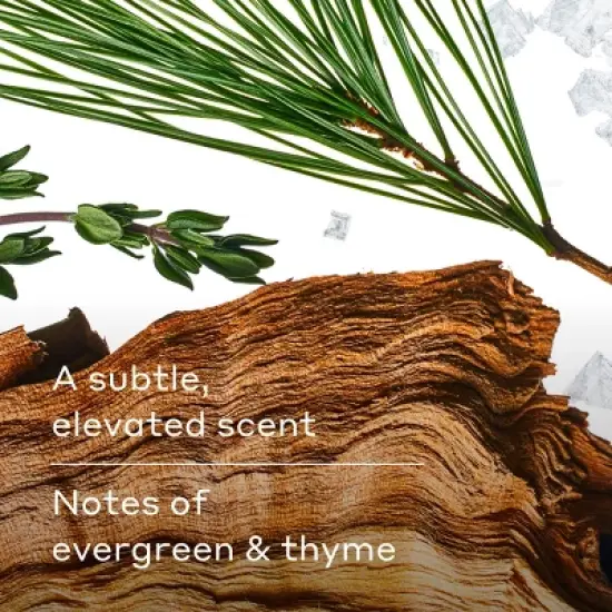 Harry's Redwood Extra-Strength Solid Antiperspirant Stick for Men - 2.5oz image {5}