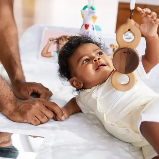 Lovevery The Play Gym image {10}