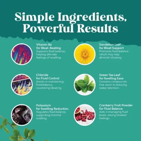 Water Away Herbal Diuretic Pills, Fluid Retention Supplement, Excess Fluid & Bloating Relief, Leg & Feet Swelling, Nature's Craft, 60ct image {3}