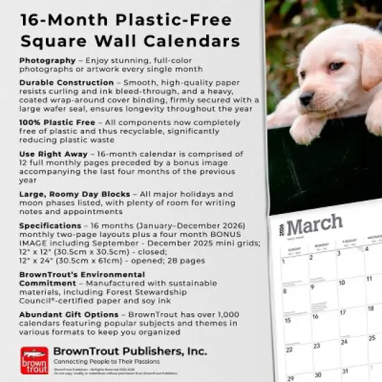 BrownTrout Labrador Retriever Puppies 2026 12"x24" Hanging Square Wall Calendar Plastic-Free image {5}