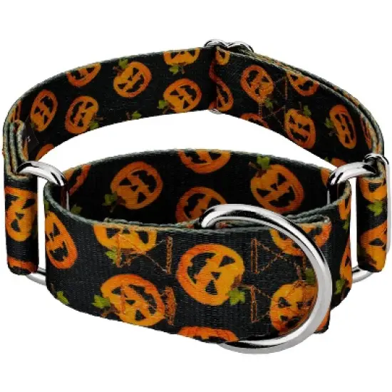 Country Brook Petz HossFit Jr Wide Martingale Dog Collar - Halloween Collection image {7}