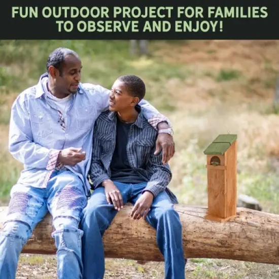 Uncle Dunkels Tree Frog House, Outdoor Tree Frog Habitat, Handmade in the USA image {5}