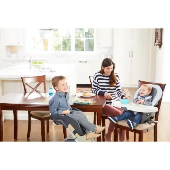 Graco DuoDiner DLX 6-in-1 High Chair - Hamilton image {6}