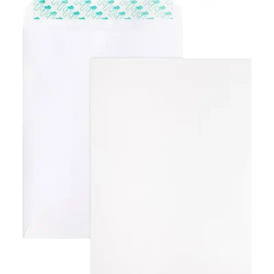 Business Source Self Sealing Catalog Envelope image {6}