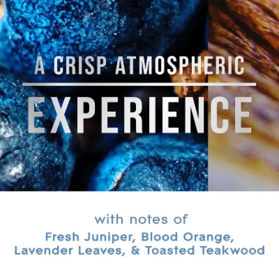 Glade PlugIns Scented Oil Air Freshener Refills Juniper & Teak - 1.34 fl oz/2pk image {10}