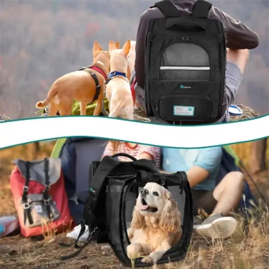 PetAmi Expandable Pet Backpack Carrier for Dog Cat, Airline Approved Travel Hiking Carrying Small Medium Puppy Kitten Extended Back Pack image {6}