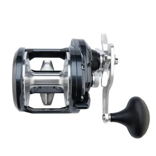 SHIMANO Torium 20PGA Star Drag image {5}