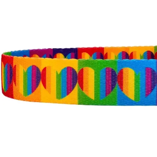 Country Brook Petz 6 Foot Dog Leash - Affection Collection image {3}