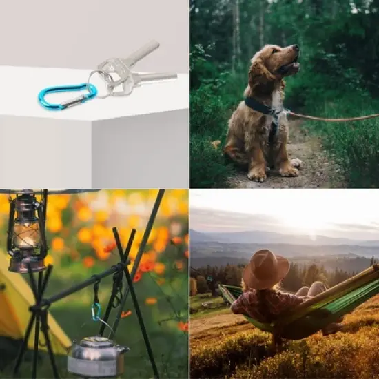 Unique Bargains Aluminum Hiking D-Ring Keychain Carabiner Hook Teal 1.6" x 0.8" x 0.16" 5 Pcs image {3}