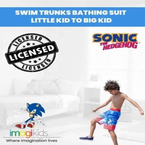 SEGA  Sonic The Hedgehog     Swim Trunks Bathing Suit Little Kid to Big Kid image {1}