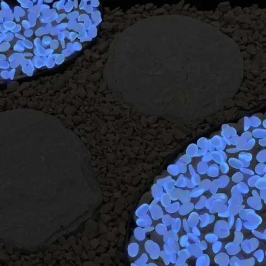 Solar Garden Stones - 500-Pack Glow in the Dark Pathway Pebble Lights - Decorative Glowing Rocks for Flowerbeds and Walkways by Pure Garden (Blue) image {2}