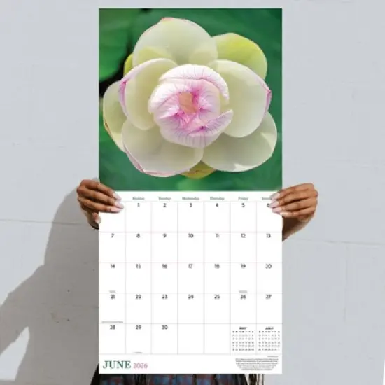 TF Publishing 13.5"x14.5" 2026 Flowers Wall Calendar image {3}