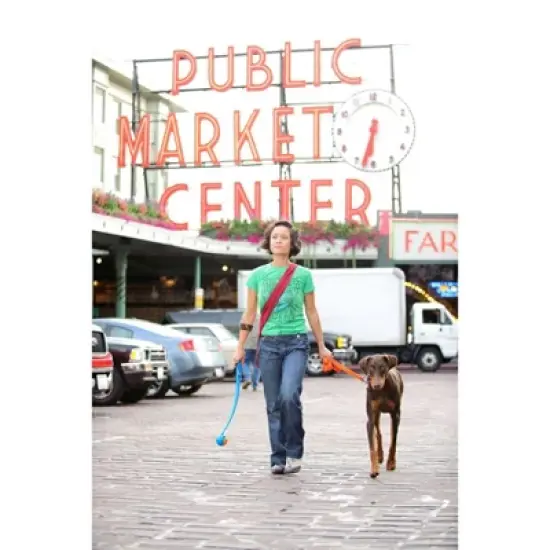 Chuckit! Ball Launcher Dog Toy - M - 22" image {2}