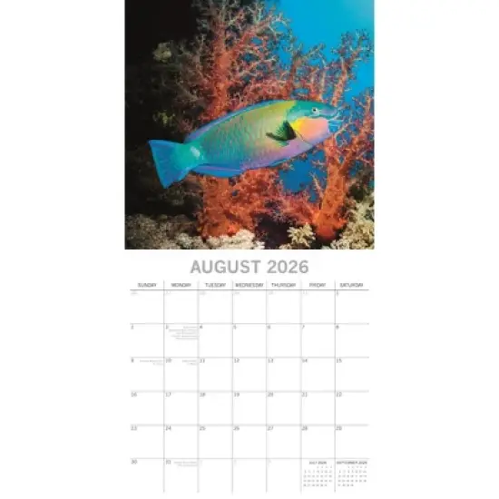 2026 Square Wall Calendar, Under the Sea, 16-Month Natural World Theme with 180 Reminder Stickers (12x12 In) image {2}