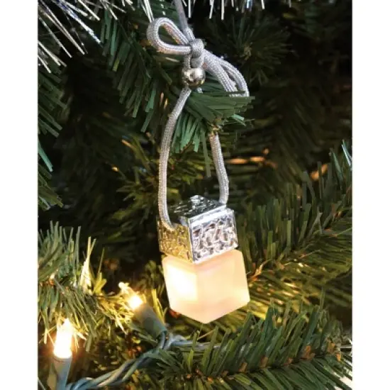 Silver Passive Diffuser with Sweet Orange | Decorative Glass Aromatherapy Air Freshener for Small Spaces | Plantlife image {3}